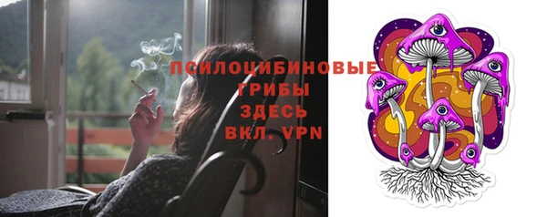 дживик Бородино
