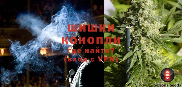 дживик Бородино