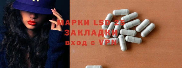 PSILOCYBIN Бугульма