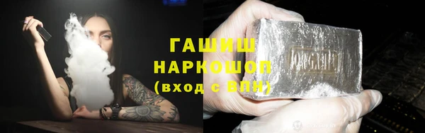 дживик Бородино