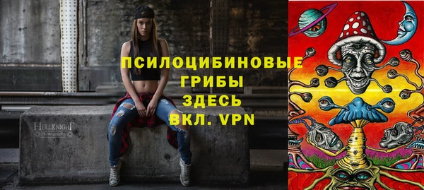 PSILOCYBIN Бугульма