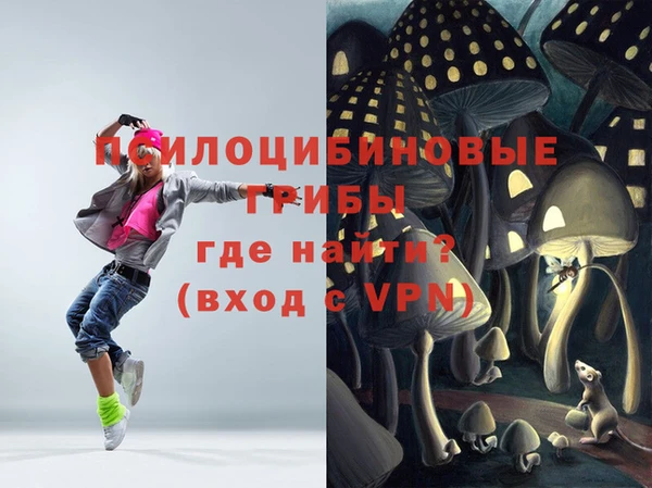 дживик Бородино