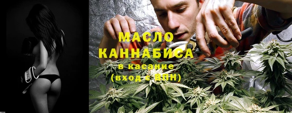 дживик Бородино