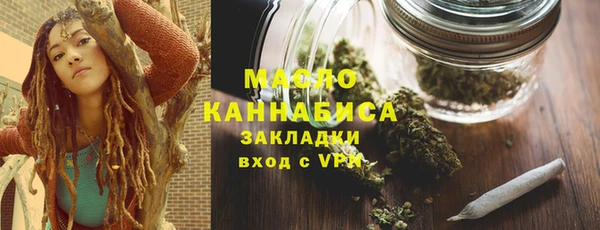 дживик Бородино