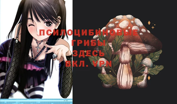 дживик Бородино
