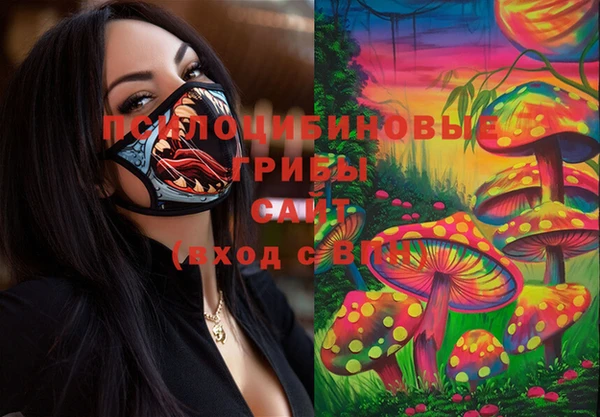 дживик Бородино