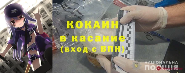 дживик Бородино