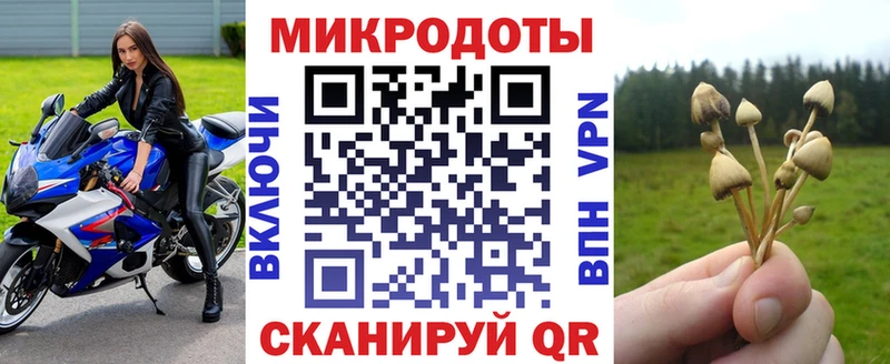 ОМГ ОМГ ссылка  Волгореченск  Псилоцибиновые грибы мицелий  сколько стоит 
